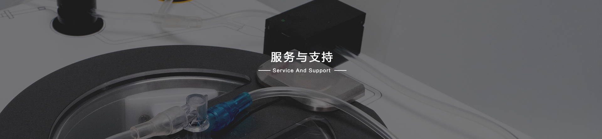 服务与支持
